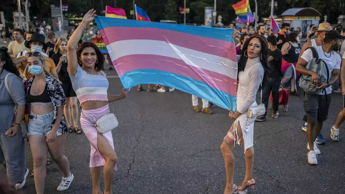 Ley trans